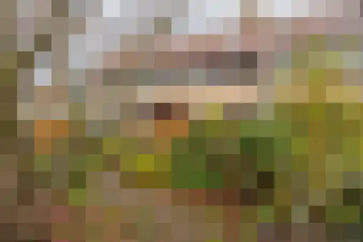 Lage Duin 34 Bennebroek thumbnail 6