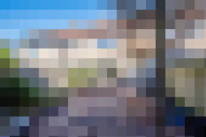 Lage Duin 57 Bennebroek thumbnail 23