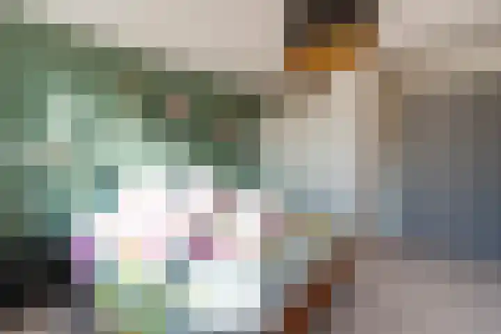 Lage Duin 57 Bennebroek thumbnail 39