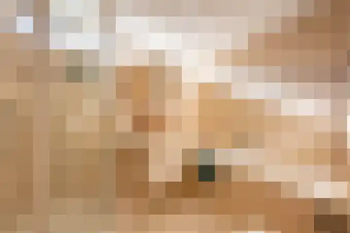 Lage Duin 57 Bennebroek thumbnail 4