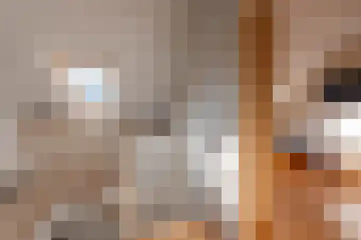 Lage Duin 57 Bennebroek thumbnail 40