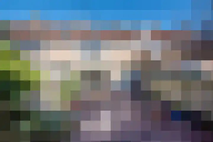 Lage Duin 57 Bennebroek thumbnail 5