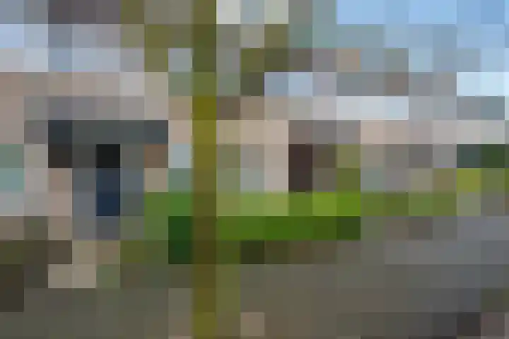 Lage Duin 57 Bennebroek thumbnail 7