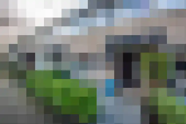 Lage Duin 57 Bennebroek thumbnail 8
