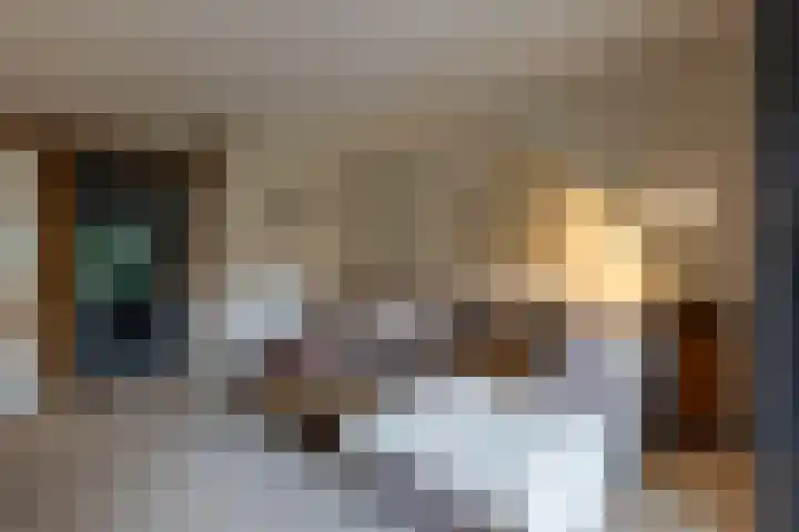 Lage Engweg 16 Harskamp thumbnail 12