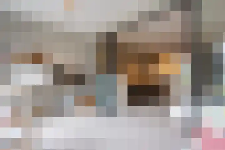 Lage Engweg 16 Harskamp thumbnail 15