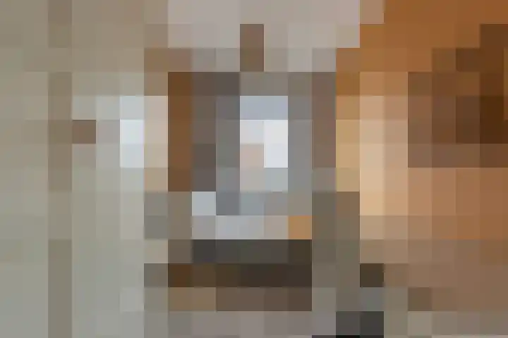 Lage Engweg 16 Harskamp thumbnail 18