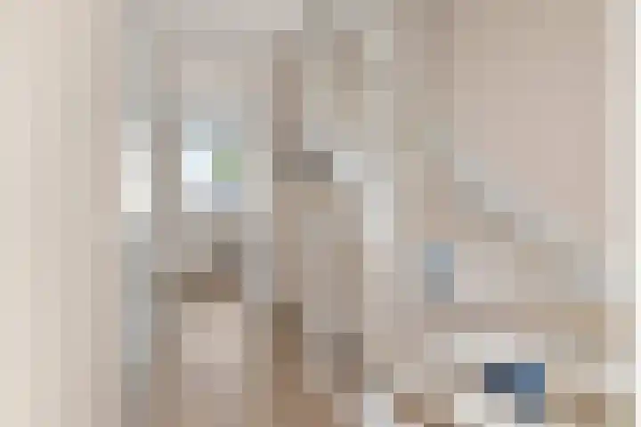 Lage Engweg 17 Harskamp thumbnail 15