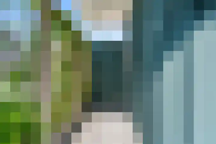Lage Engweg 17 Harskamp thumbnail 29