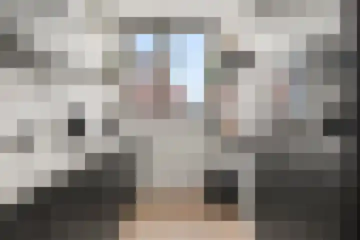 Lage Engweg 19 Harskamp thumbnail 19