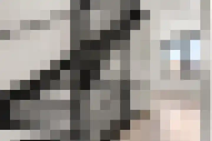 Lage Engweg 19 Harskamp thumbnail 21