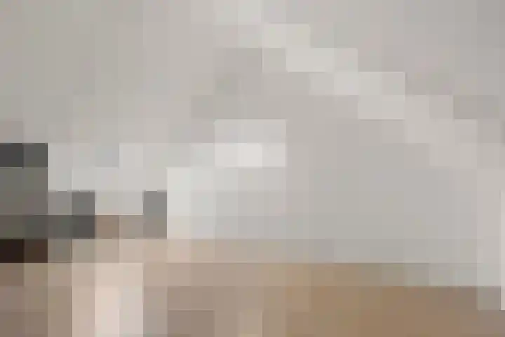 Lage Engweg 19 Harskamp thumbnail 33