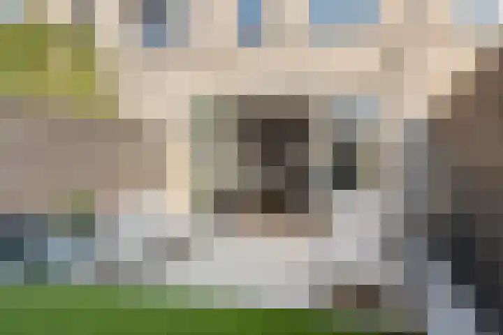 Lage Engweg 19 Harskamp thumbnail 38