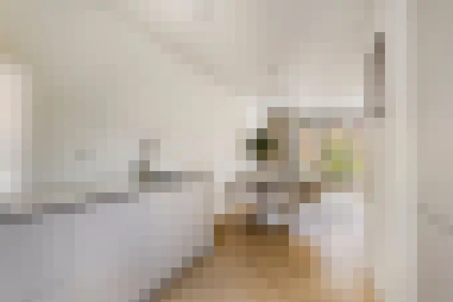 Lage Engweg 24 Harskamp thumbnail 15