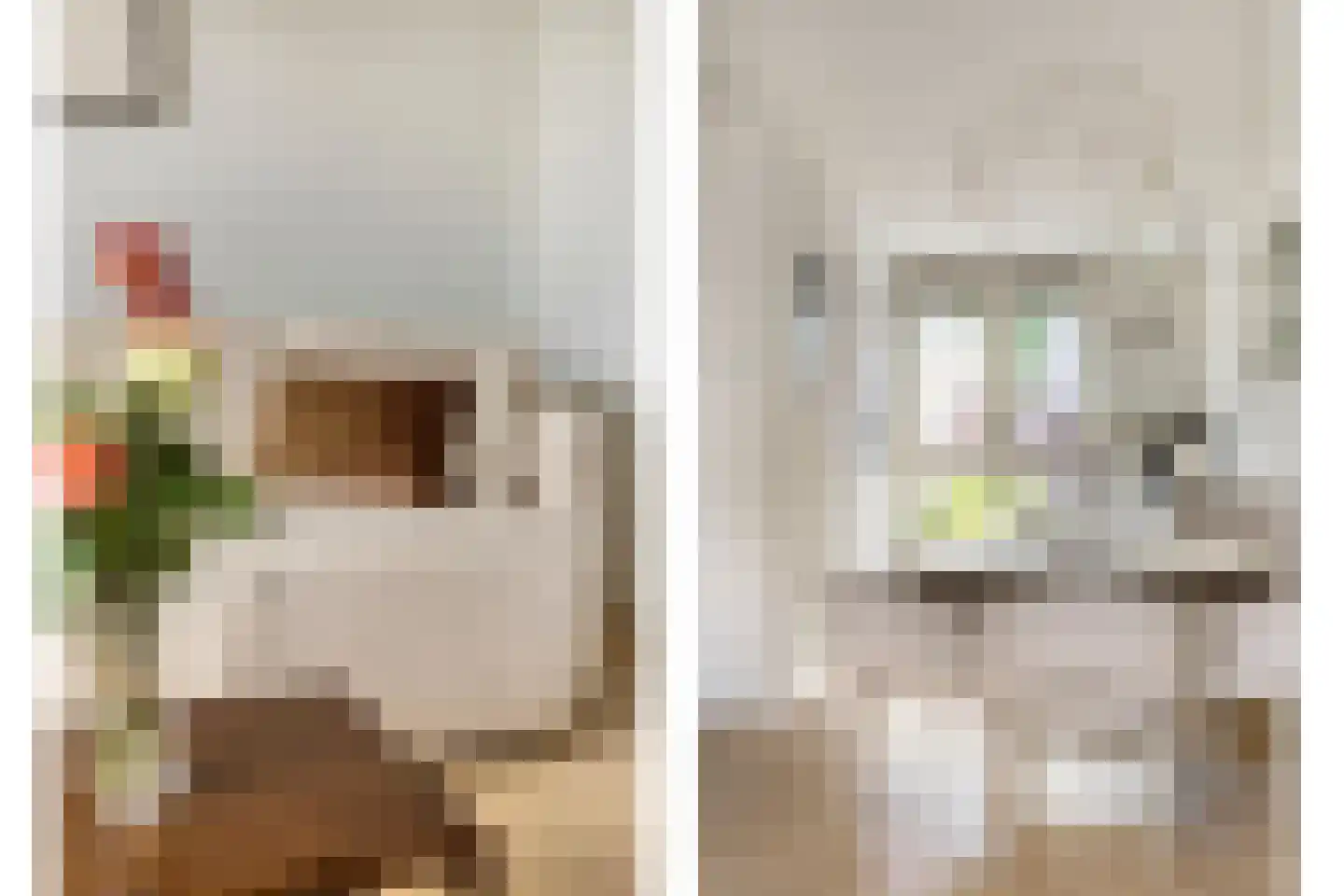 Lage Engweg 24 Harskamp thumbnail 18