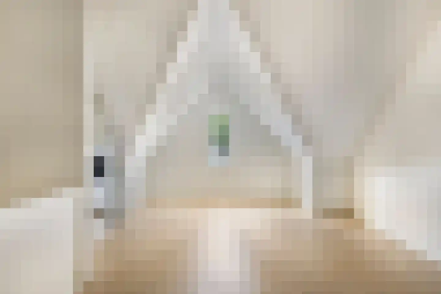 Lage Engweg 24 Harskamp thumbnail 31