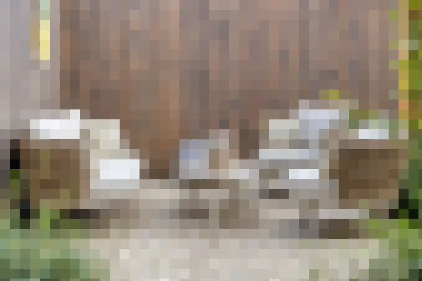 Lage Engweg 24 Harskamp thumbnail 35