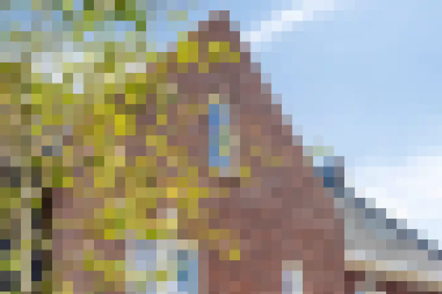 Lage Engweg 24 Harskamp thumbnail 40