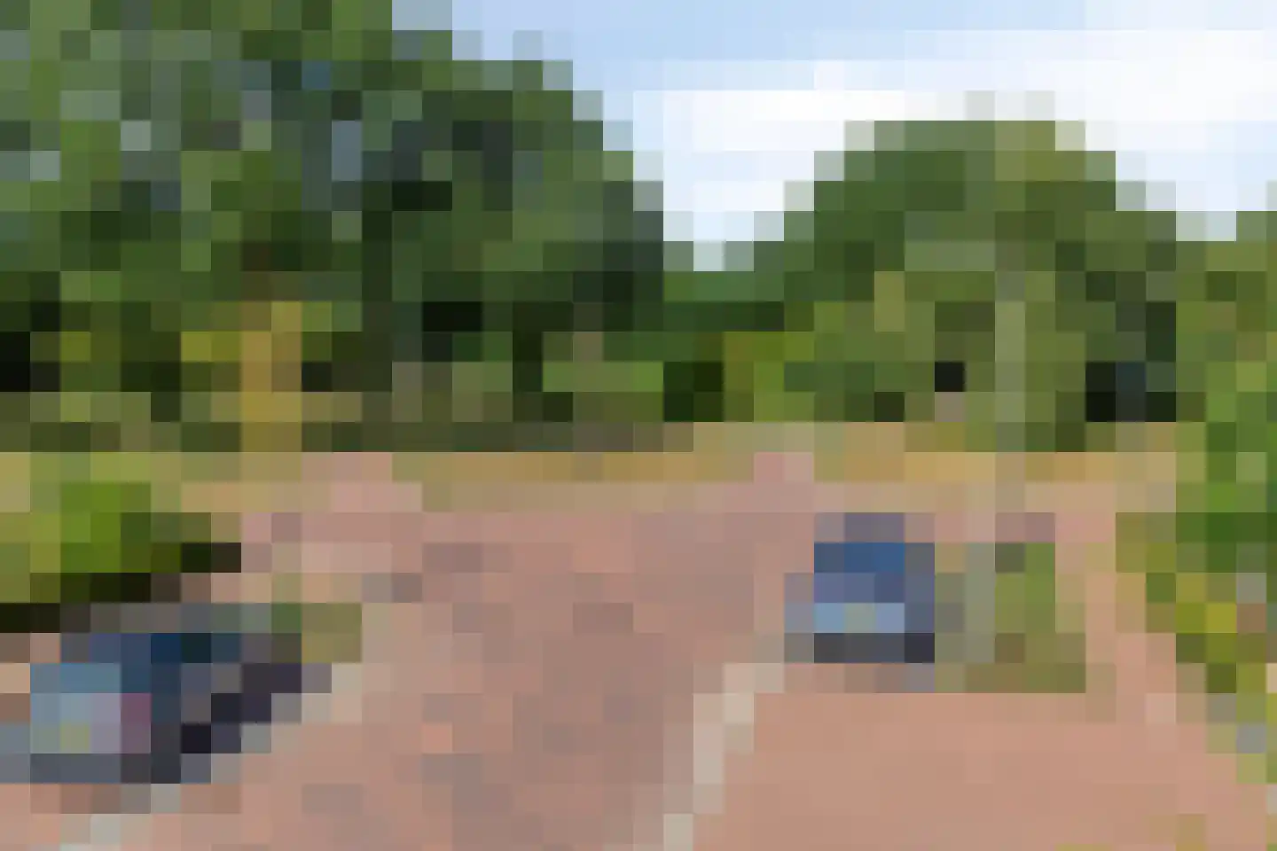 Lage Engweg 24 Harskamp thumbnail 43