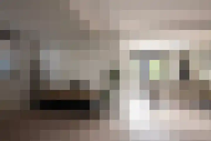Lage Engweg 37 Putten thumbnail 10