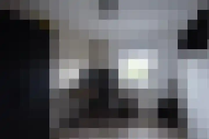 Lage Engweg 37 Putten thumbnail 22