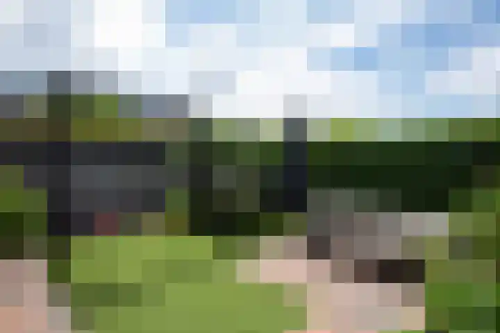 Lage Engweg 37 Putten thumbnail 30