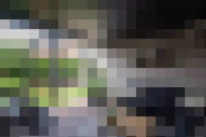 Lage Engweg 37 Putten thumbnail 33