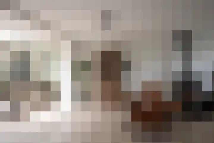 Lage Engweg 37 Putten thumbnail 7