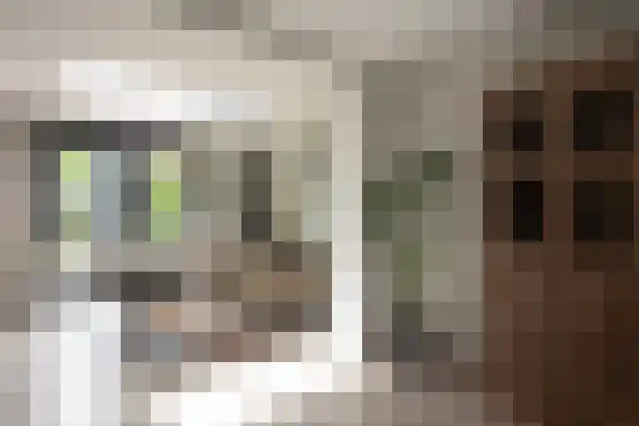 Lage Engweg 37 Putten thumbnail 8