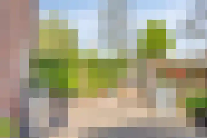 Lage Esweg 12 Losser thumbnail 20
