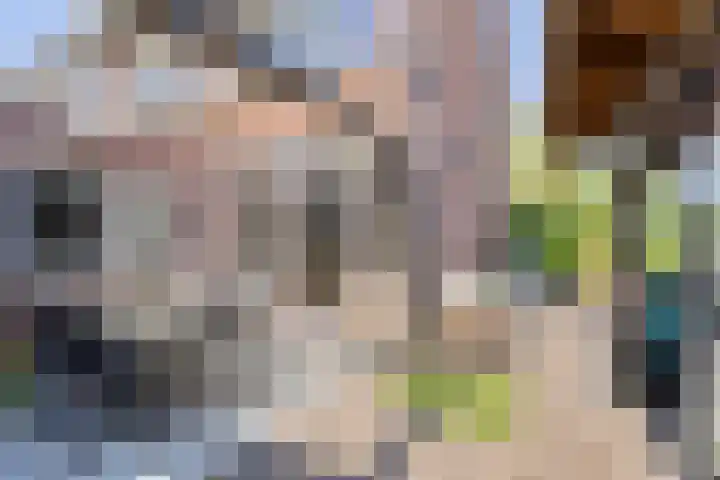 Lage Esweg 12 Losser thumbnail 24
