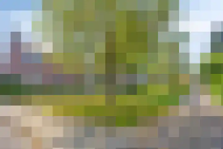 Lage Esweg 12 Losser thumbnail 26