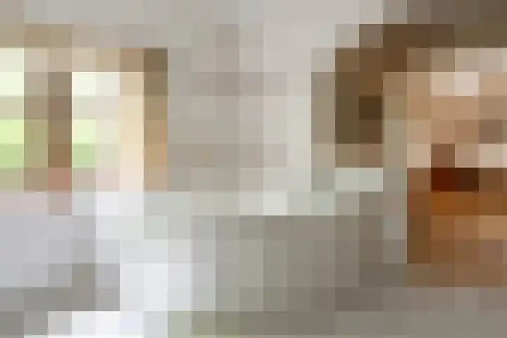 Lage Esweg 5 a Nijverdal thumbnail 12