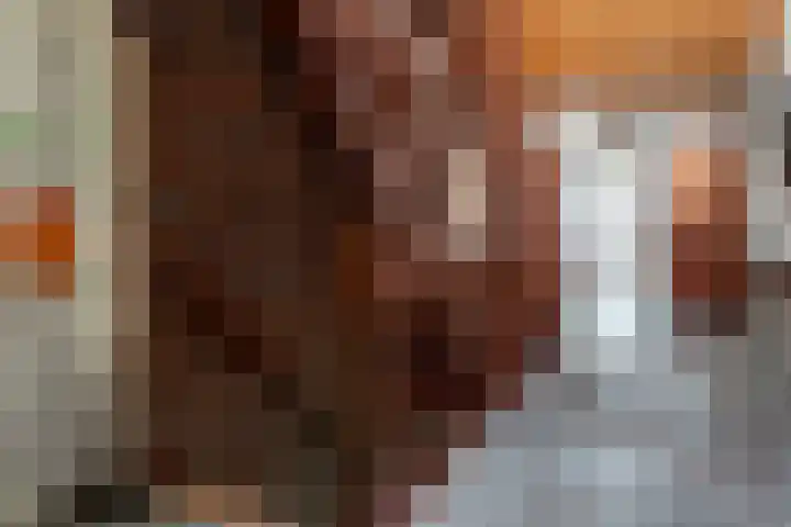 Lage Esweg 5 a Nijverdal thumbnail 15