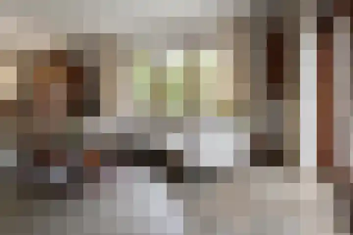 Lage Esweg 5 a Nijverdal thumbnail 16