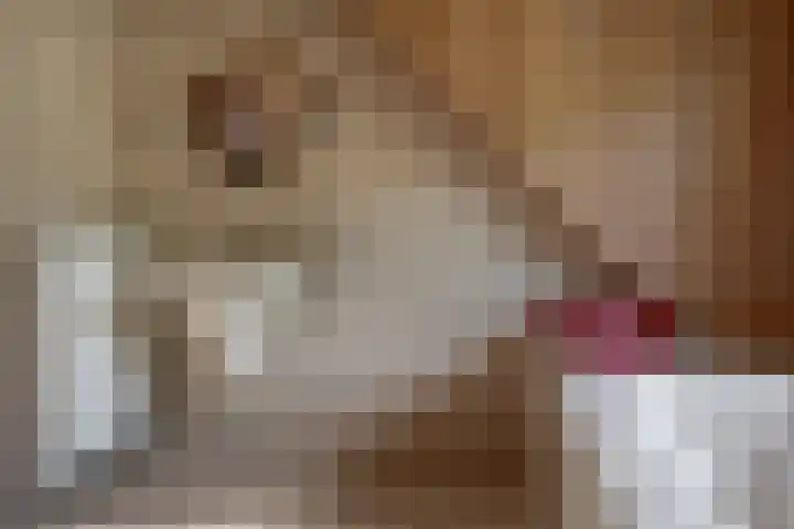 Lage Esweg 5 a Nijverdal thumbnail 35