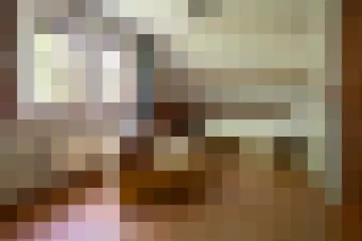 Lage Esweg 5 a Nijverdal thumbnail 38