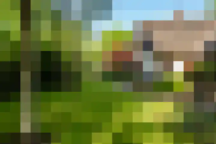 Lage Esweg 5 a Nijverdal thumbnail 44