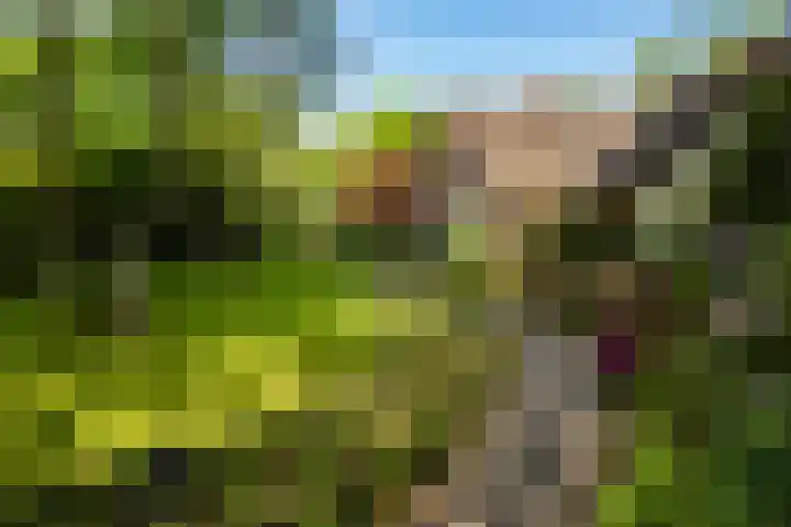 Lage Esweg 5 a Nijverdal thumbnail 45