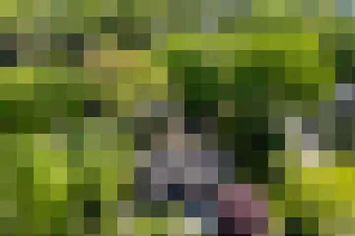 Lage Esweg 5 a Nijverdal thumbnail 46