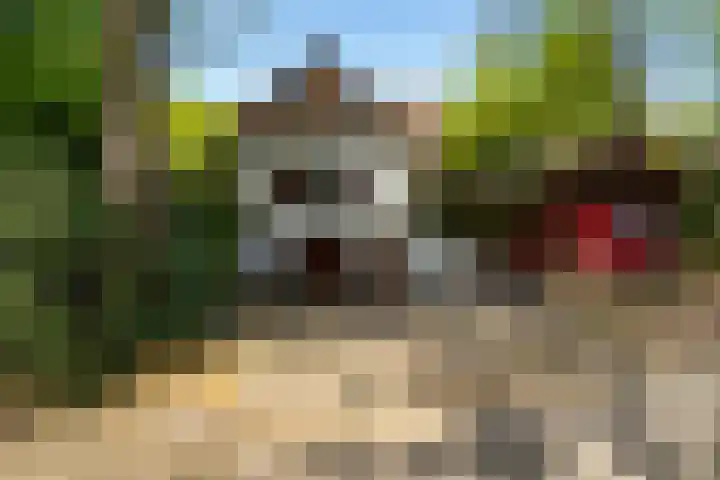 Lage Esweg 5 a Nijverdal thumbnail 47
