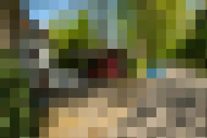 Lage Esweg 5 a Nijverdal thumbnail 48