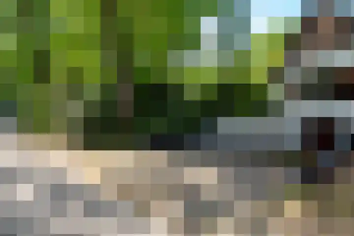 Lage Esweg 5 a Nijverdal thumbnail 49