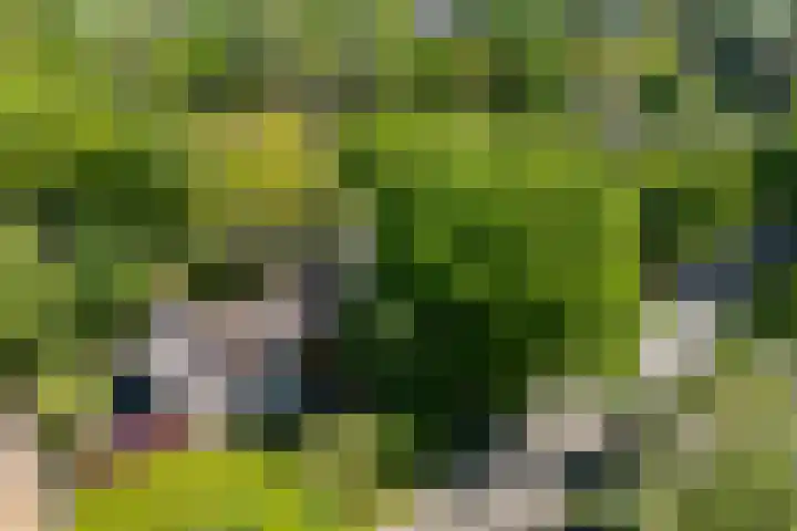 Lage Esweg 5 a Nijverdal thumbnail 50