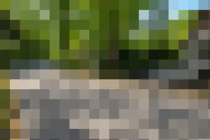 Lage Esweg 5 a Nijverdal thumbnail 51
