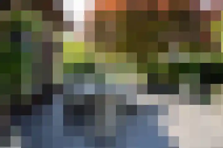 Lage Esweg 5 a Nijverdal thumbnail 54