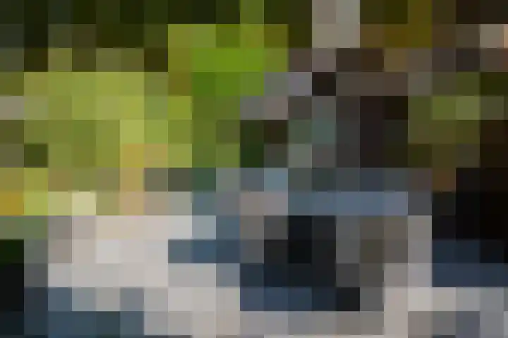 Lage Esweg 5 a Nijverdal thumbnail 55