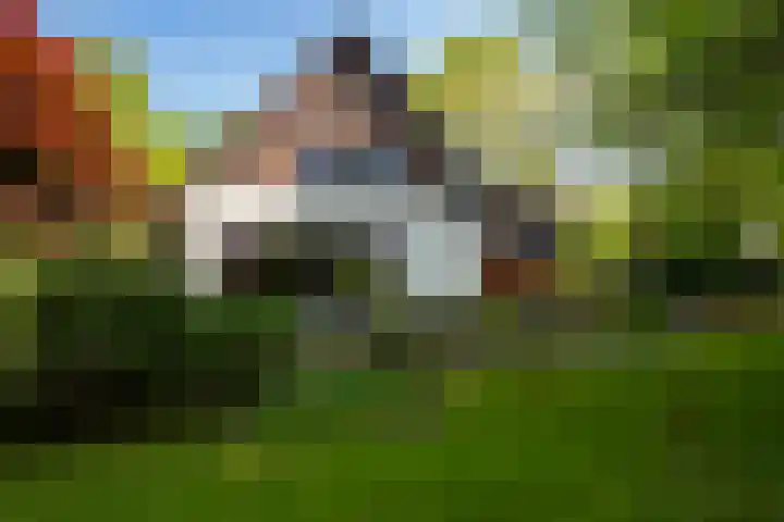Lage Esweg 5 a Nijverdal thumbnail 57