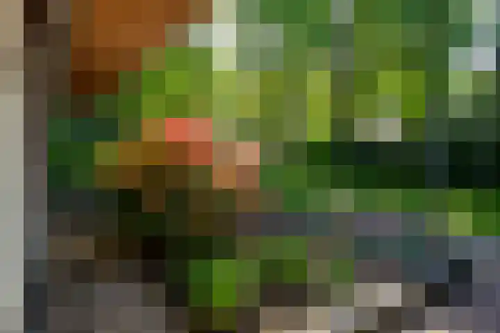 Lage Esweg 5 a Nijverdal thumbnail 60