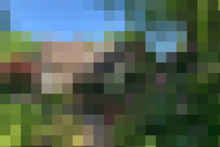 Lage Esweg 5 a Nijverdal thumbnail 61